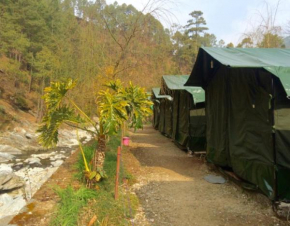 Camp Pine Riviera